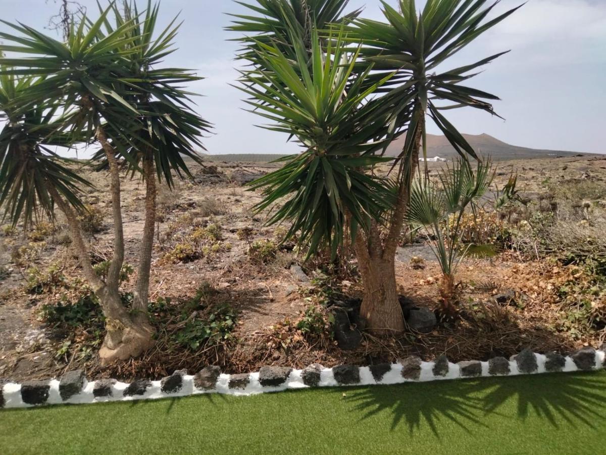 Lanzarote Casa Volcanica-Anclada Sobre La Lava Del Volcan Montana Blanca Exterior foto